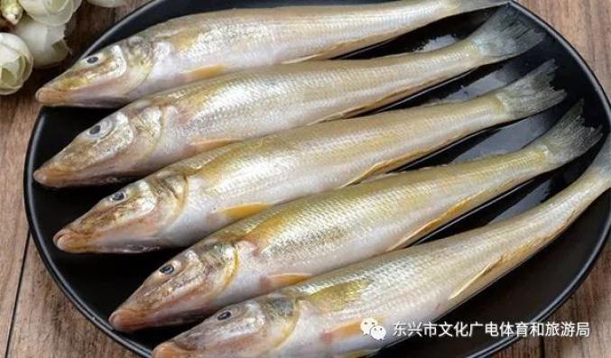 倒计时3天广西广东这些地方即将迎来一大盛事错过等一年