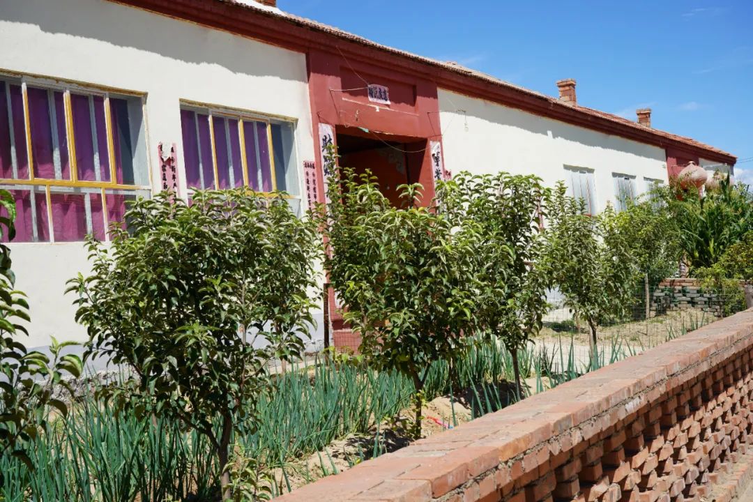 郭小毛带头搞小果园建设,带动其他村民一起种植果树,现在闫城营村村里