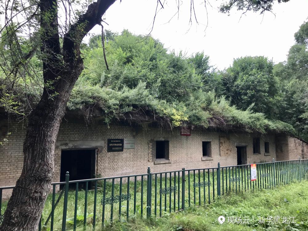 新华黑龙江直播815纪念日前夕跟随记者走进勃利密塞