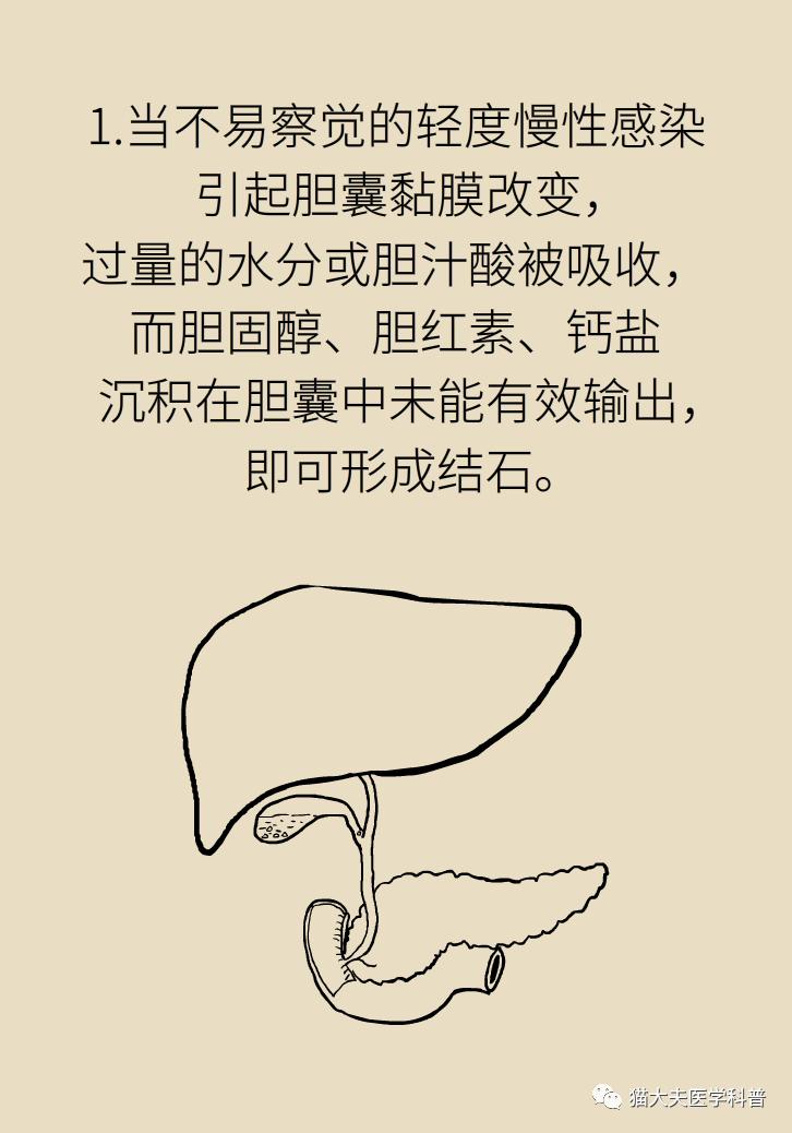 626.jpg