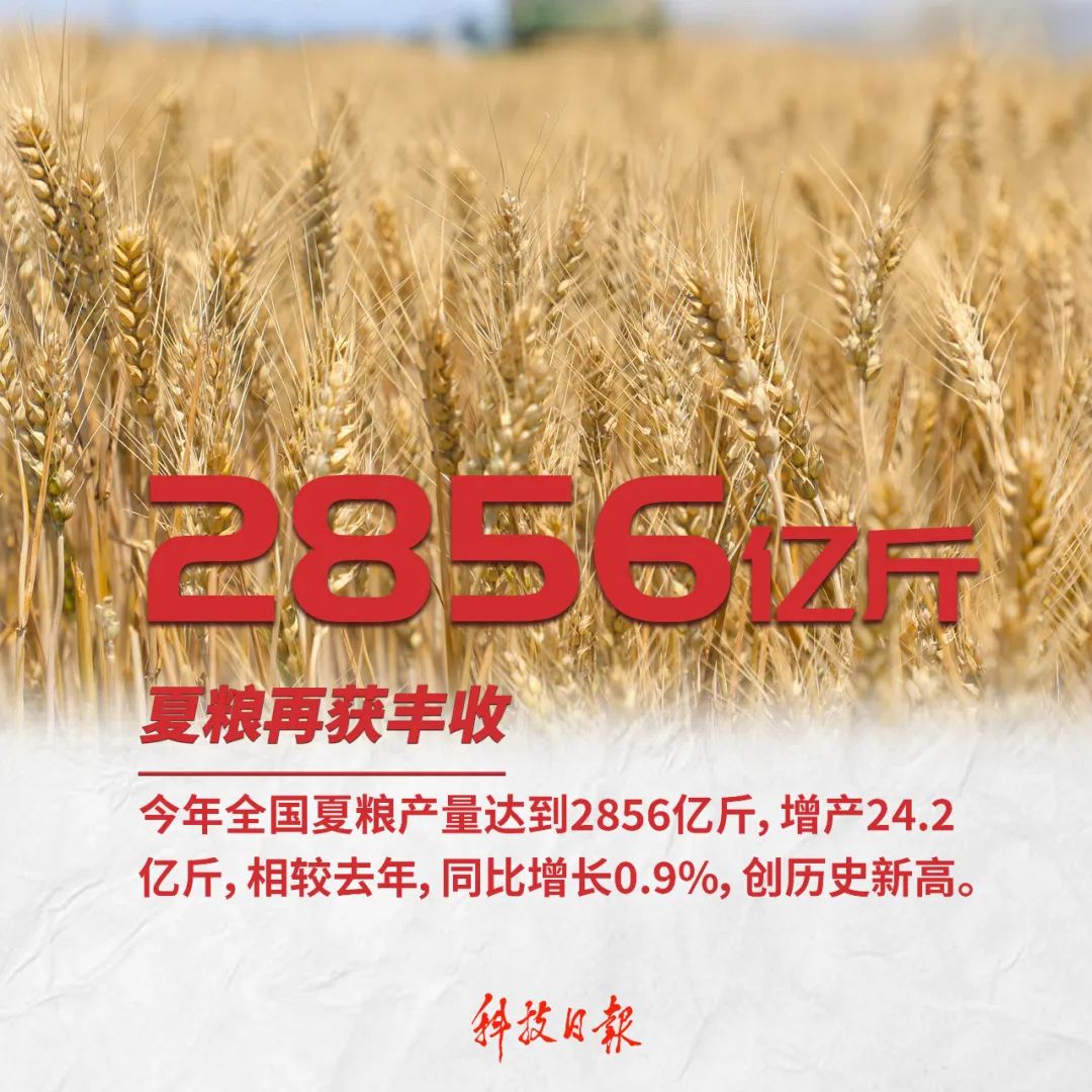 中国|这组数字，就是中国的底气！