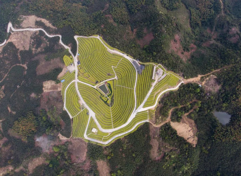 生态gdp_马刺gdp(2)