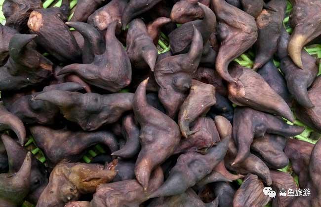 赏荷观莲摘莲蓬在嘉鱼珍湖吃掉整个夏天