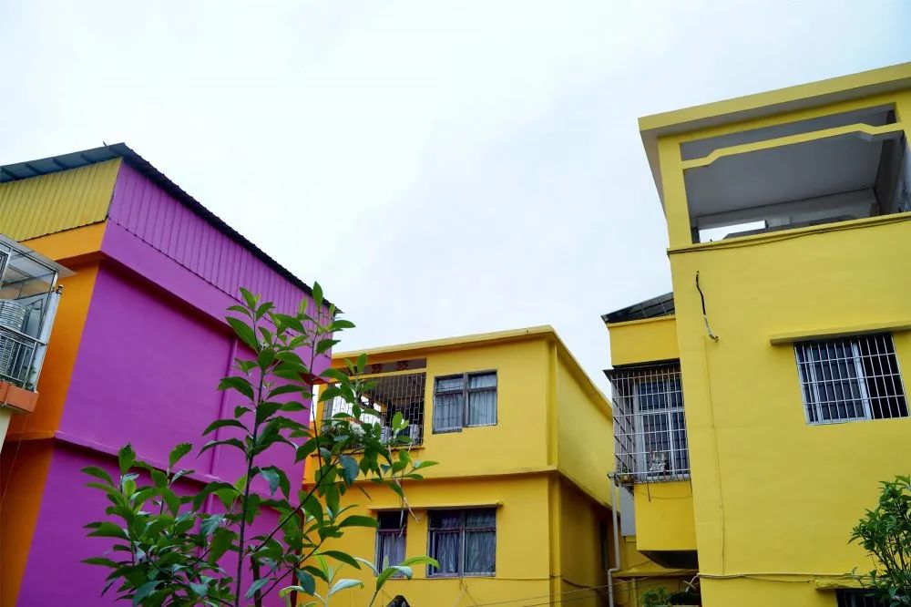 走向我们的小康生活江海区彩虹村换新装添美颜村民笑开颜