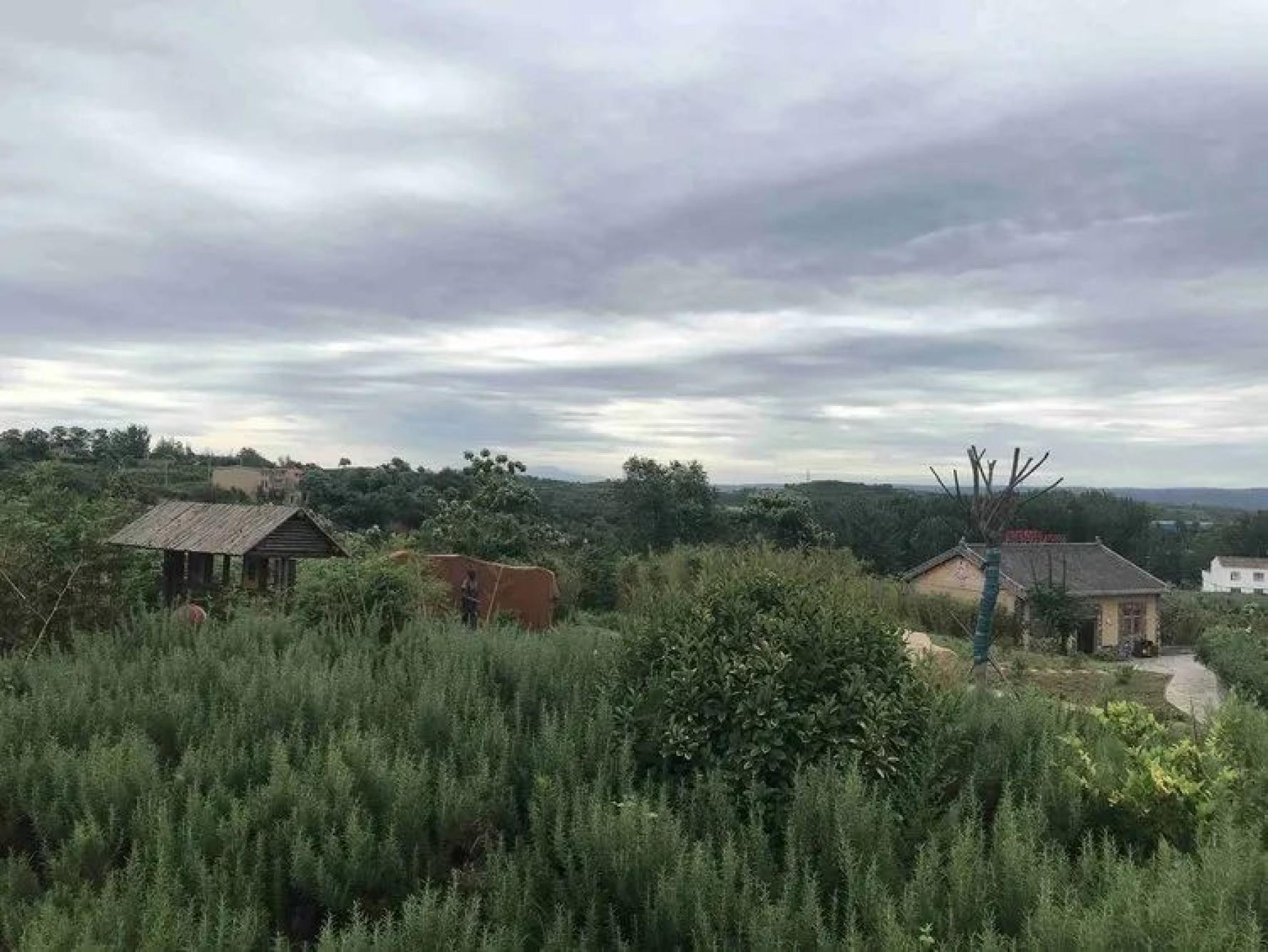 宜阳县赵老屯村因地制宜发展沟域经济促乡村振兴发展