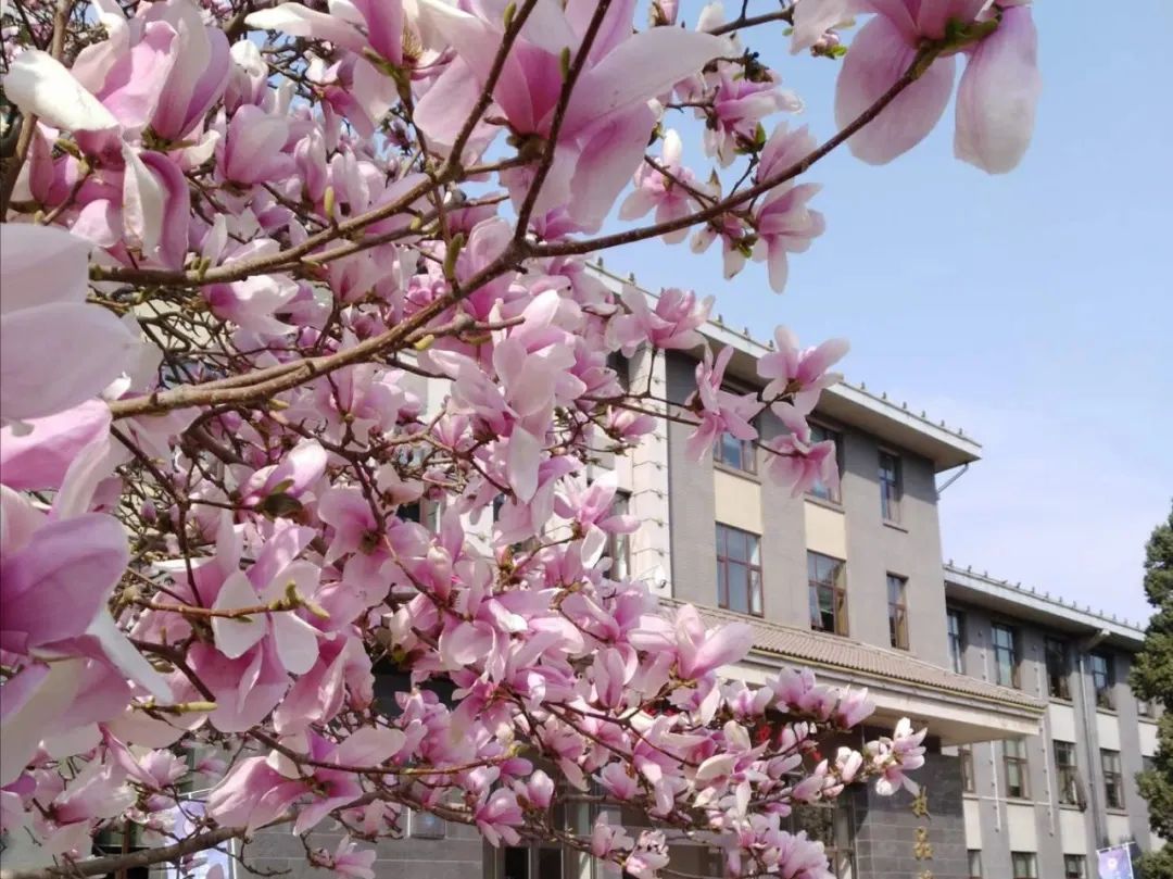 正在打开文件北方工大教学楼2020ver新生指南教学楼篇