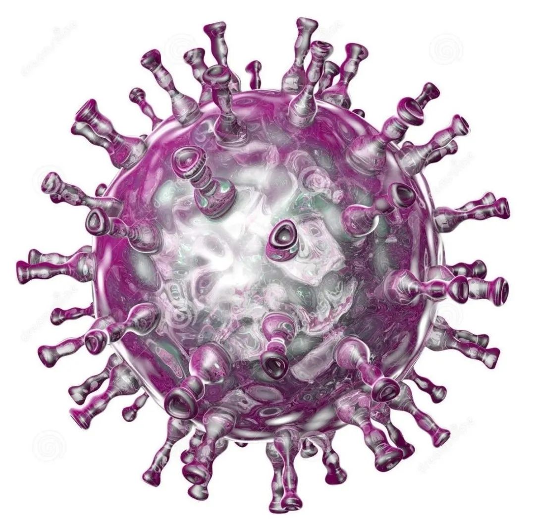 Characteristics of herpes simplex virus infection and pathogenesis ...