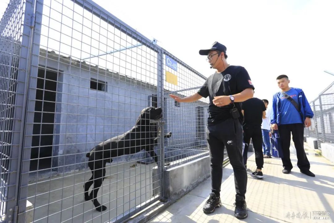 养犬任城区犬只留检所开门迎市民给流浪狗一个温馨的家