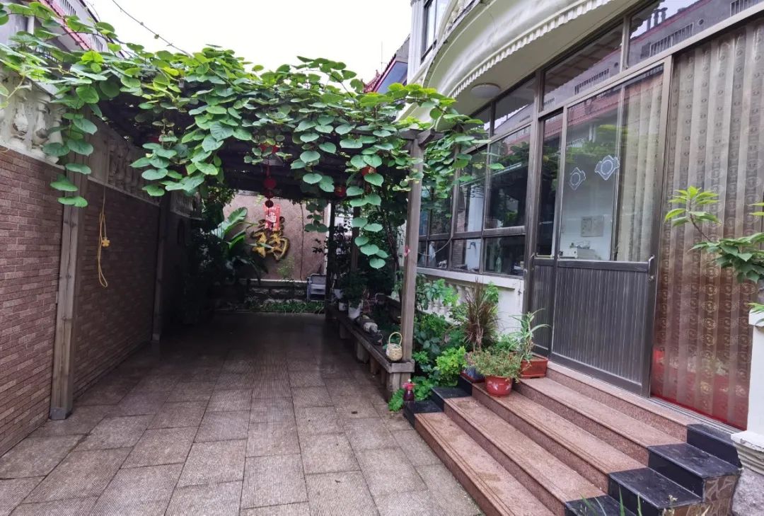 潍坊美丽庭院示范户擂台赛8月第2周周明星公布
