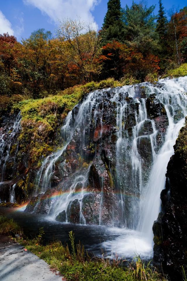 来望天鹅的十大理由