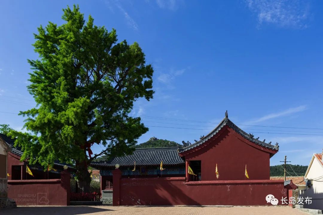 政务_澎湃新闻-the paper