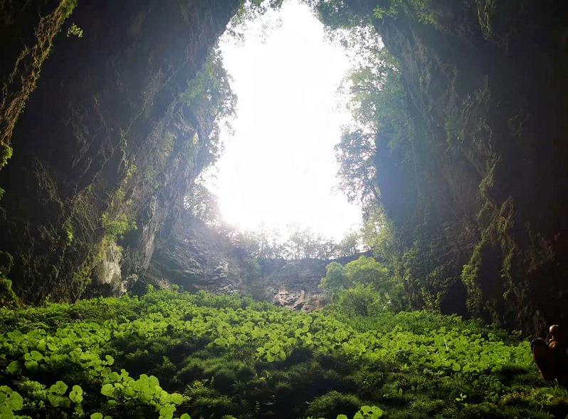 在湖北省利川市团堡镇白果坝村,有一个叫甑子洞的山洞,风光秀美,景