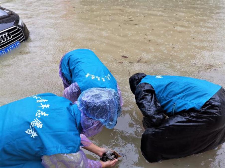 暴雨中成都青年志愿者在行动