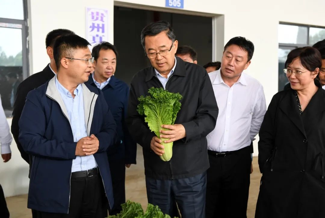 孙志刚在威宁江楠现代农副产品加工物流园考察.