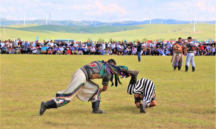 搏克是蒙古族传统的体育娱乐活动之一,草原上的人们把蒙古式摔跤称作