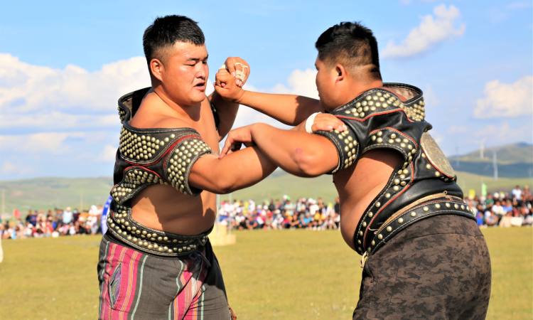 蒙古最强壮的摔跤手图片