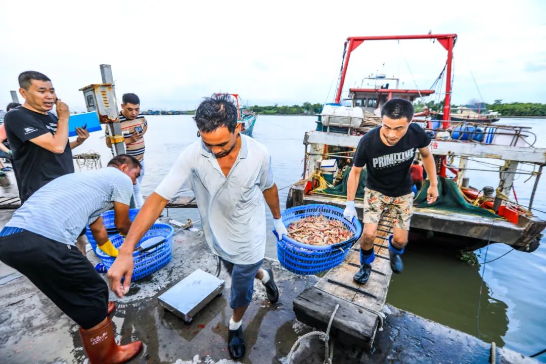 魚蝦蟹蠔已佔領白藤頭終於等到海鮮自由