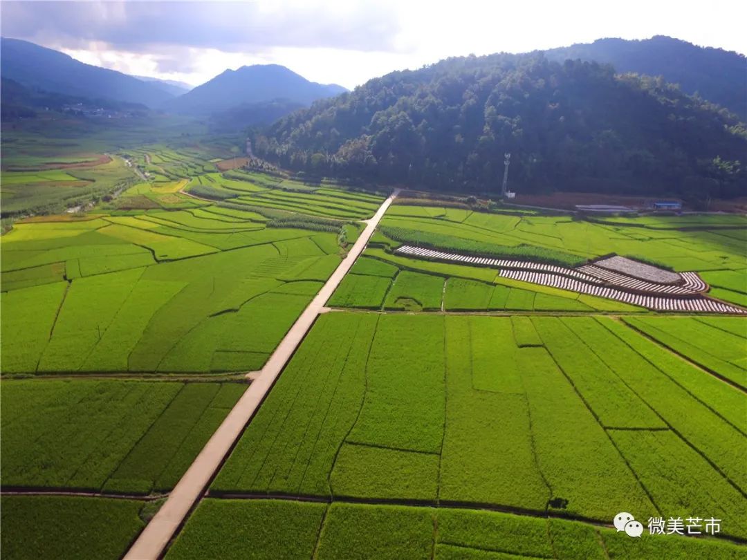 头条勐戛新印象满地芬芳