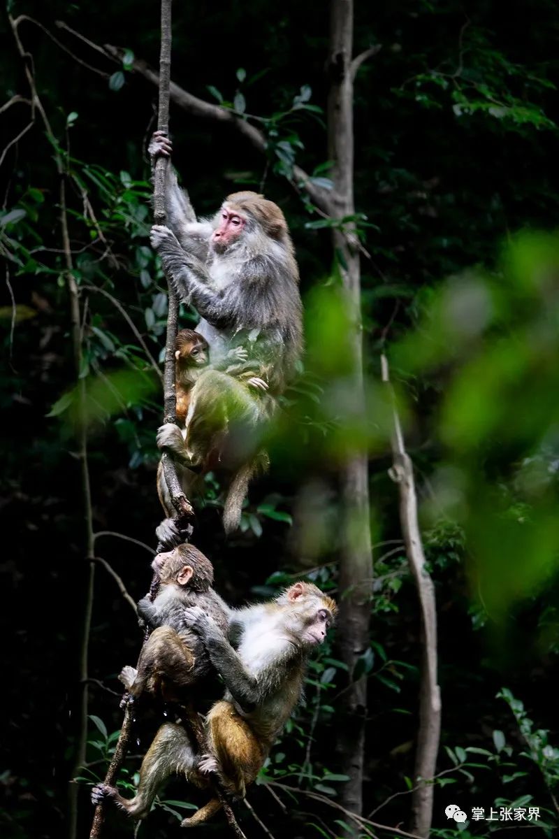 (纪实作者 李敏 摄)7474每日一语we are the hero of our own