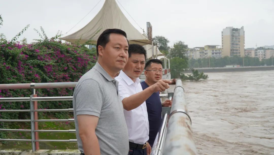 市委副书记,市长张彤赴中心城区,犍为县,夹江县,沙湾区督导调研我市