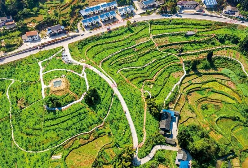 喜报鼓掌石墙镇成功创建国家卫生乡镇