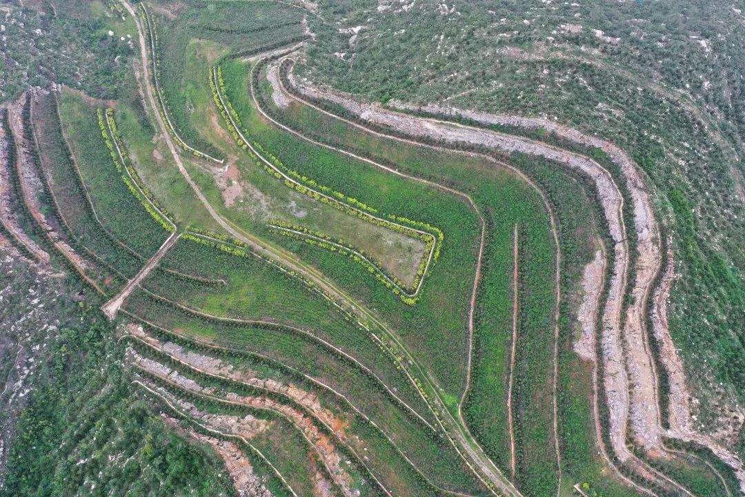 礦區通過礦山修復改造而成的南響堂山森林公園(8月17日攝,無人機照片)