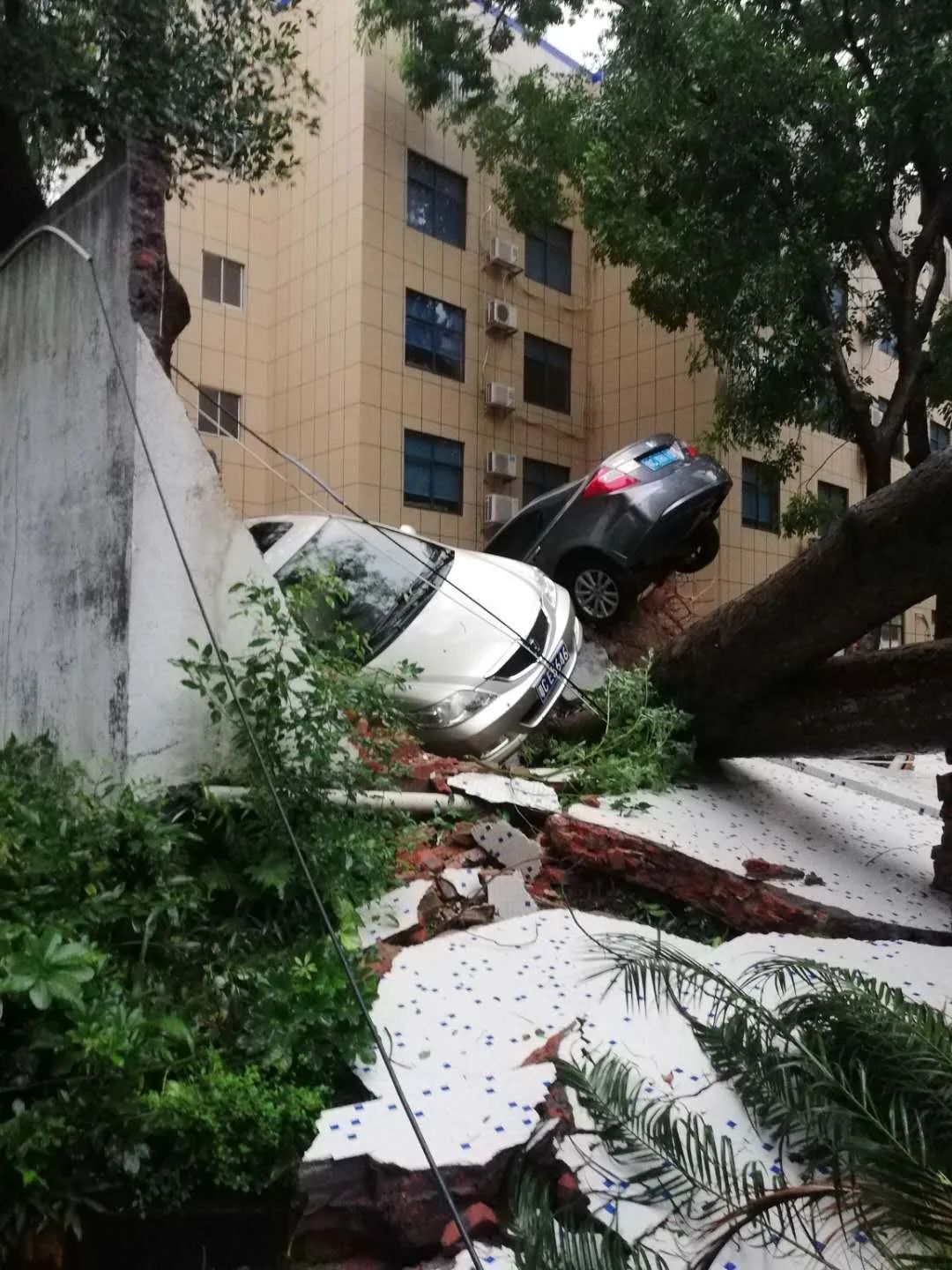 台风海高斯今早在珠海登陆!广东多地停工停课!台风登陆画面曝光