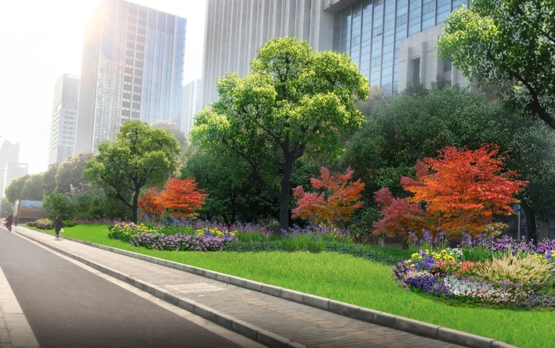 道路除了绿化景观提升外这些道路包括38条背街小巷还将同步开展规范停