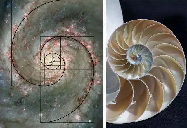 他收藏全世界最美的54张楼梯照,让人和建筑合二为一