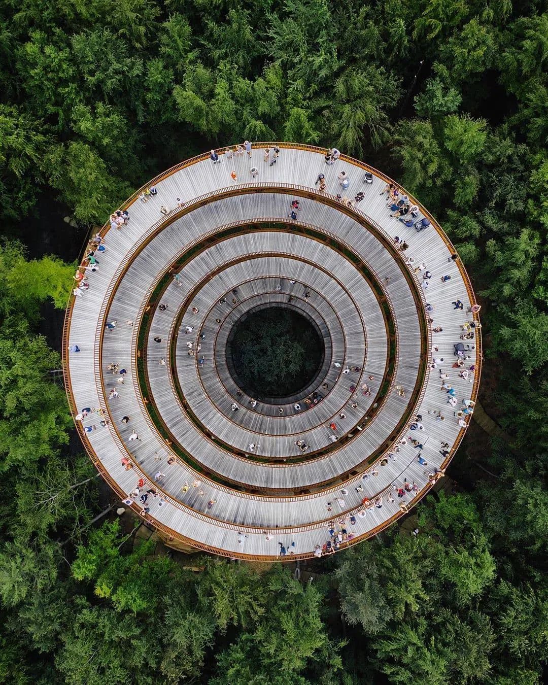 他收藏全世界最美的54张楼梯照,让人和建筑合二为一