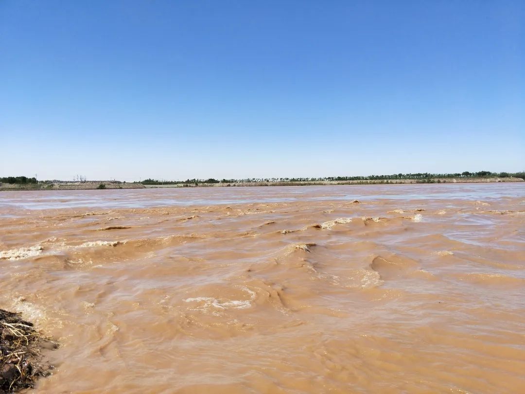 黄河第4号洪水进入乌海段