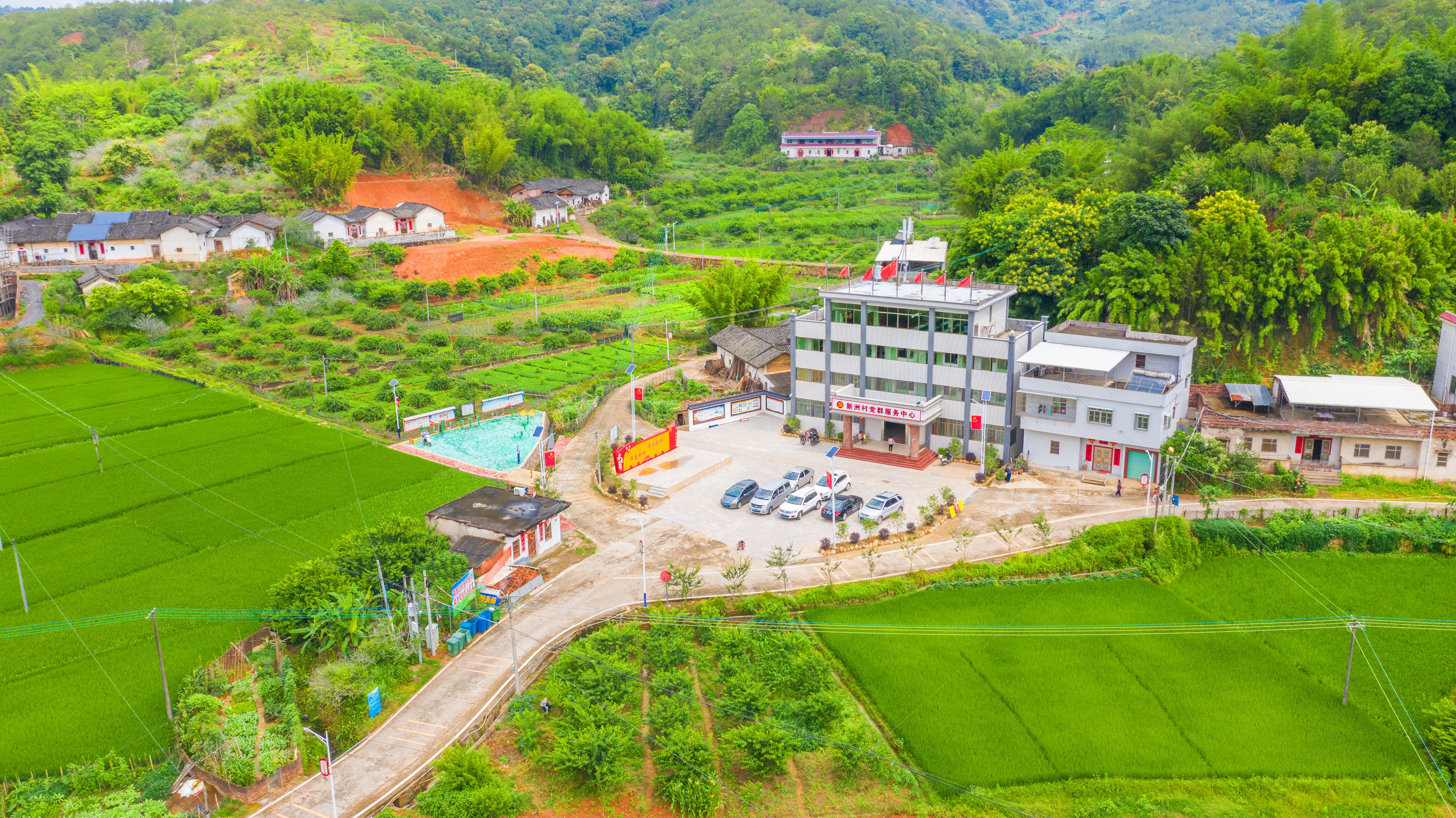 在广州市市场监管局的帮扶下,新洲村这个昔日偏远的小山村,早已旧貌换