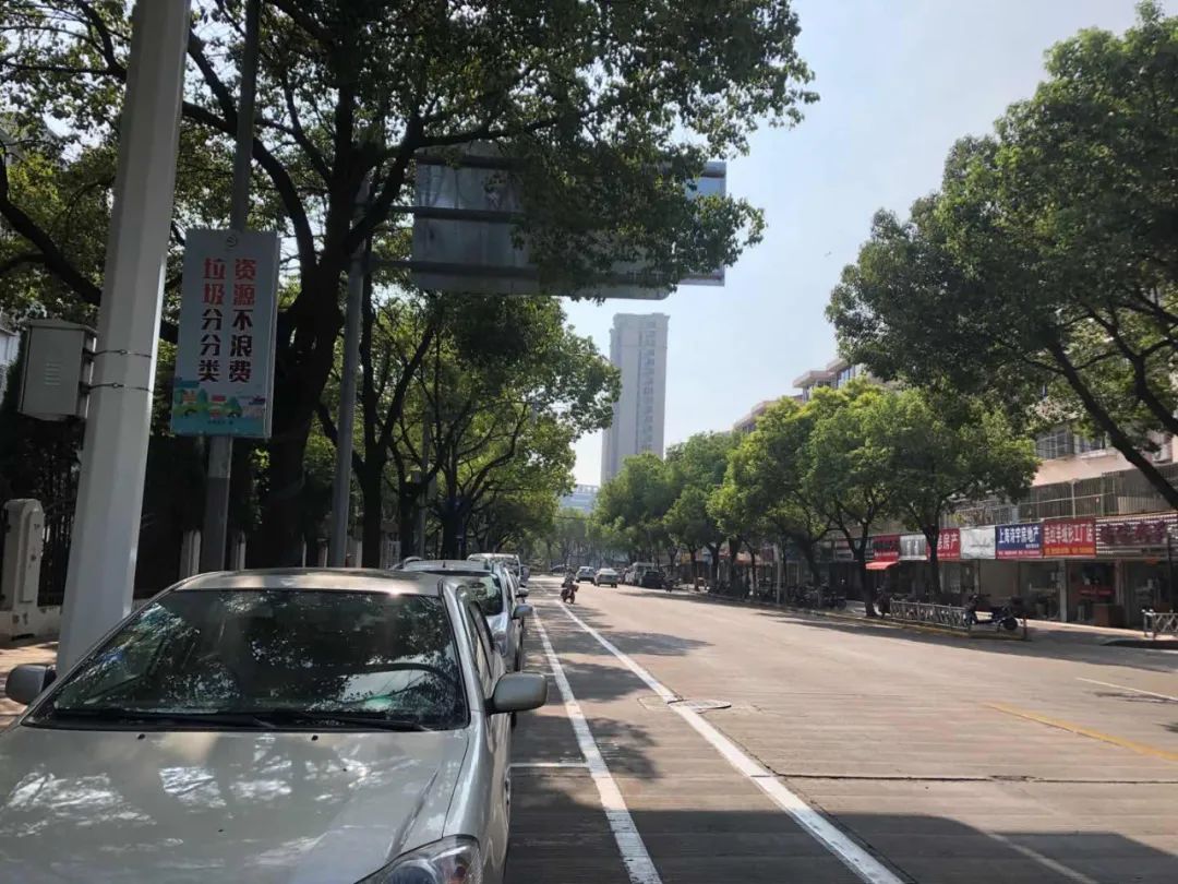 陈家山路)及树屏路(菊园体育公园—财智金岸)路段现有的全天候道路