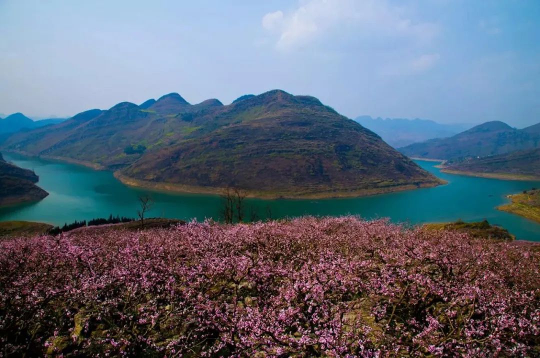 八月华东师大来到贵州这片桃花源建基地拍微课