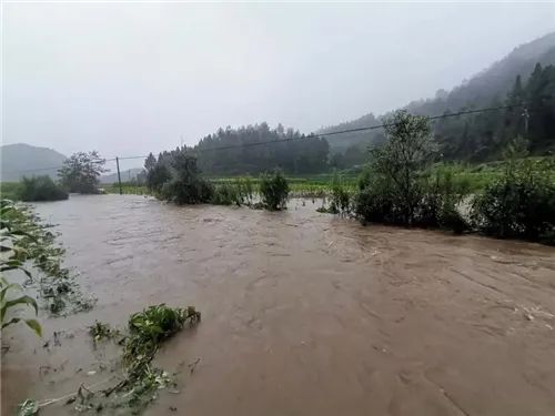 绿春人口_绿春长街宴图片(3)