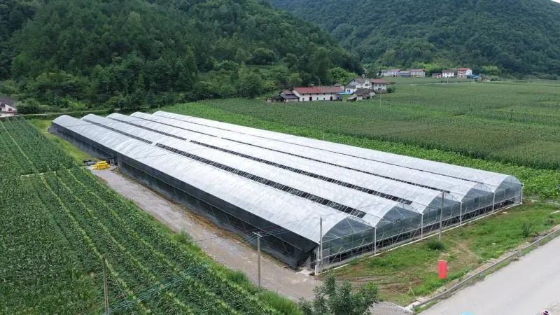 兴山县榛子乡天气预报今日情况