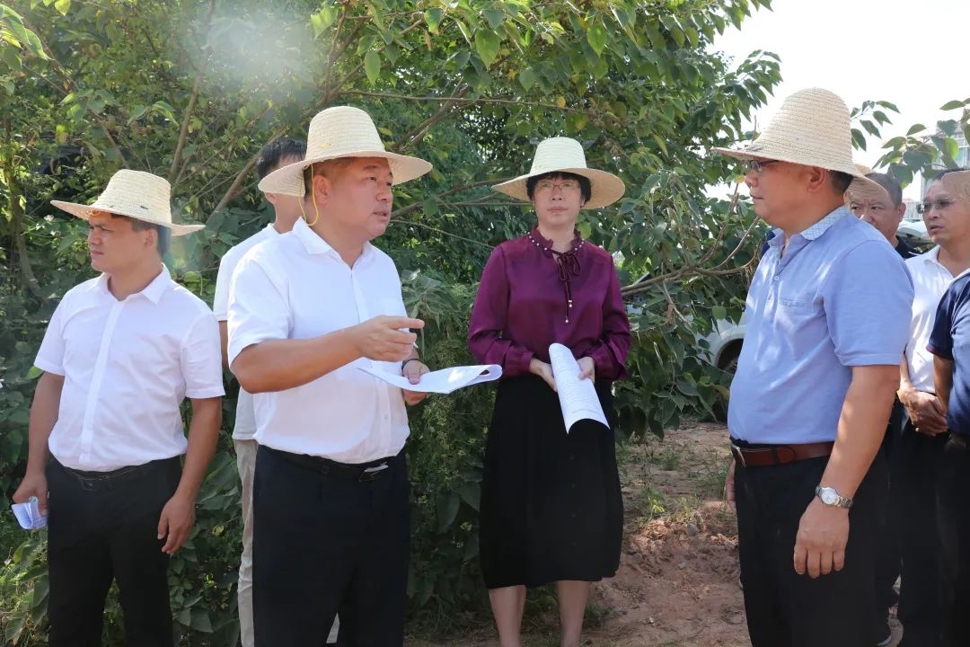 吴自胜深入城乡调研六稳六保工作并开展两宣一帮政策宣讲活动