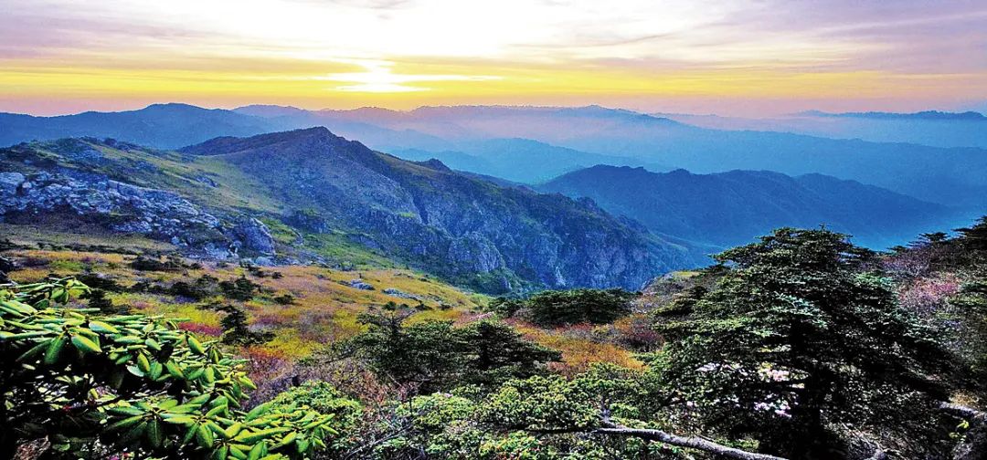 【秦岭会客厅】走进"华夏龙脉大秦岭"