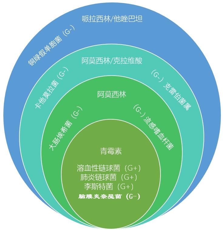 阿莫西林氨苄西林哌拉西林青黴素g之間的區別