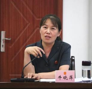 伊川县人大常委会到县法院检查刑事审判工作