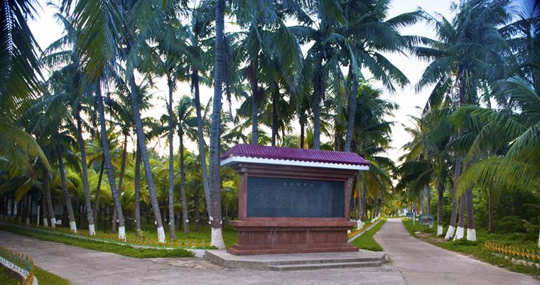 每日一景丨三沙永兴岛上的将军林