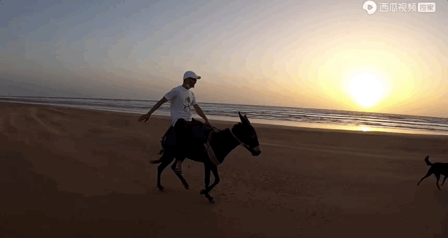 638_340gif 动态图 动图