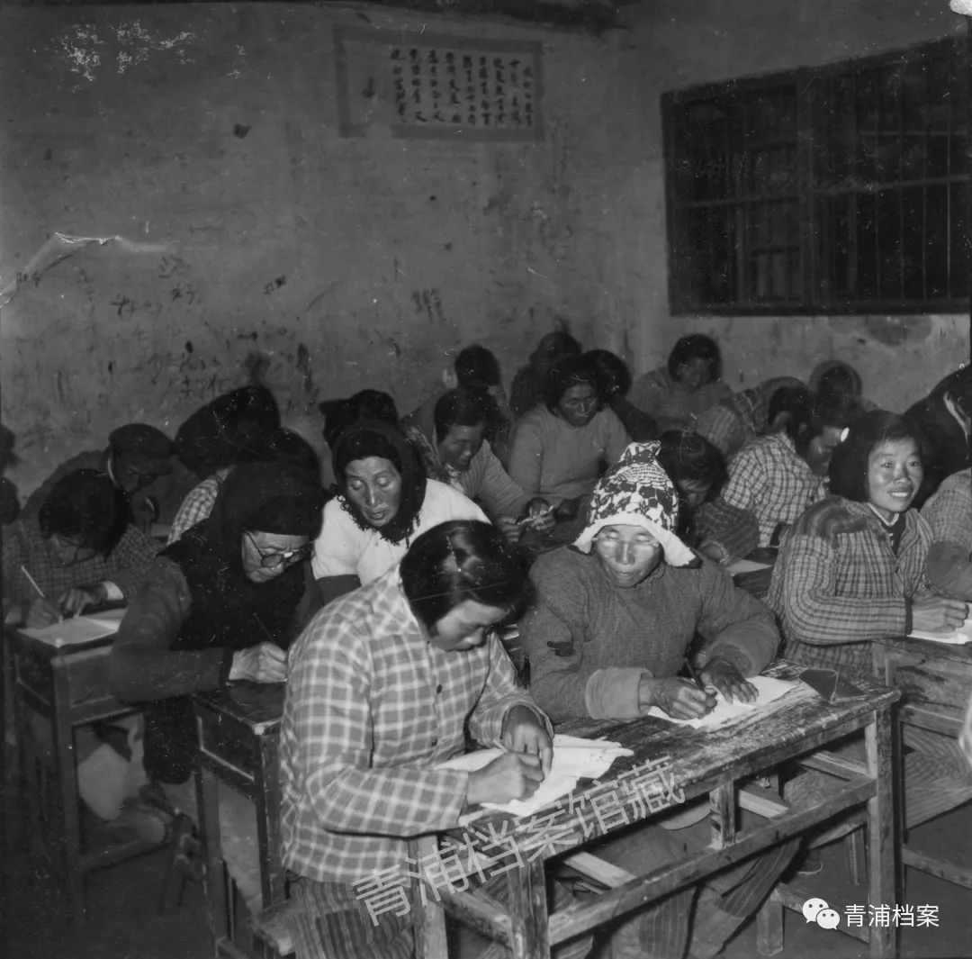 档案微党课青浦扫盲识字的历史