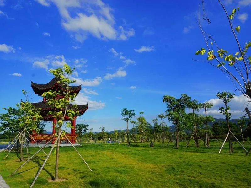 我最喜爱肇庆十大网红打卡地出炉67有你钟意的那个地方吗