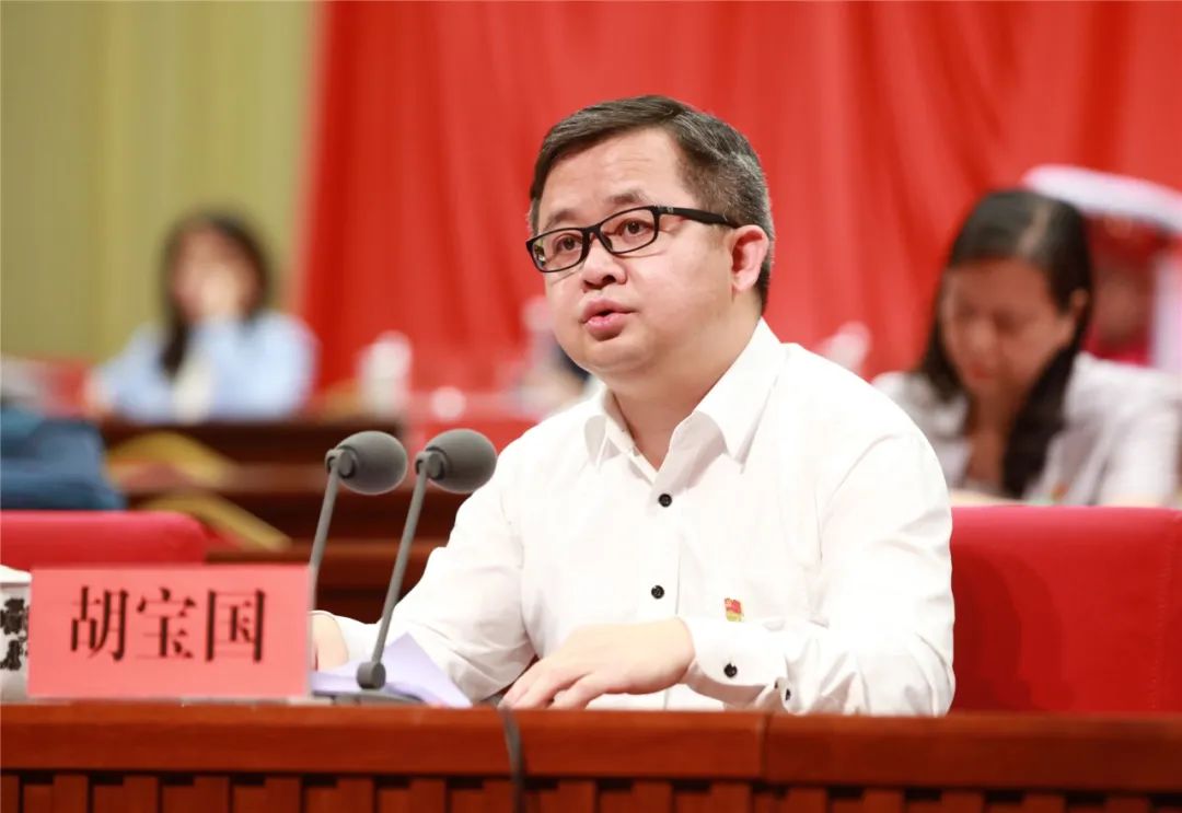 胡宝国副市长在讲话中,对本次大会进程进行了简要回顾,向一贯重视支持