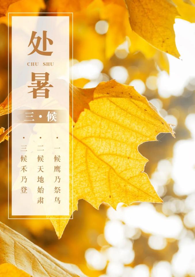 今日处暑暑去秋来努力奔跑逐梦前行