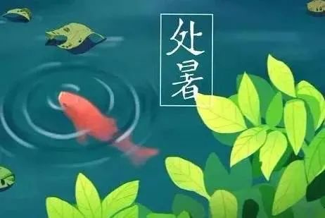 ”节气“处”为终止“处暑”意味着暑热渐渐消退天气将由炎热向凉爽过渡