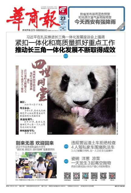 陕西省西安市幼排名_赛讯|2020西安第九届光猪跑如期而至