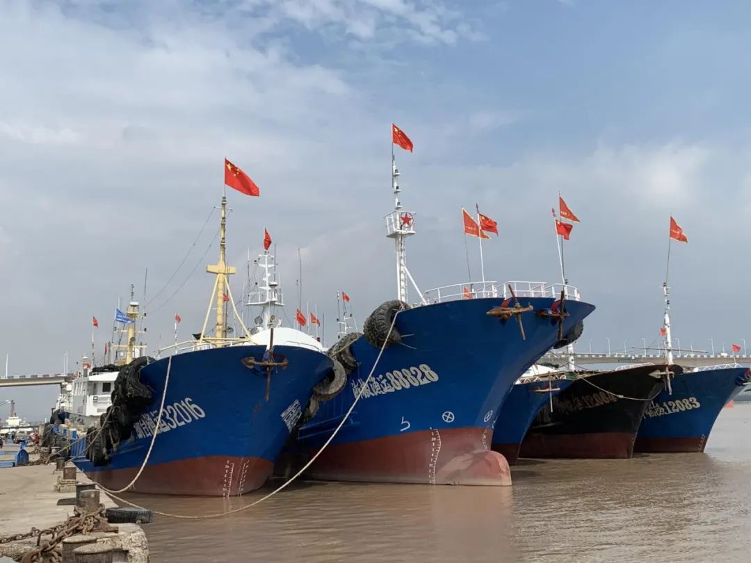 海浪橙色预警椒江至大陈航线停航渔船陆续进港或进入安全海域避风