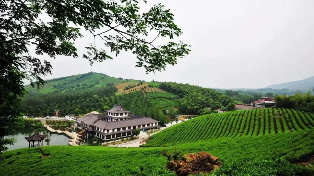 江陰紅豆村(距離市區45公里)→滿庭芳郊野花園(距離8公里)→獅山湖